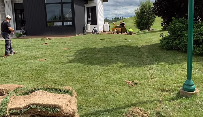 Professional lawn installation